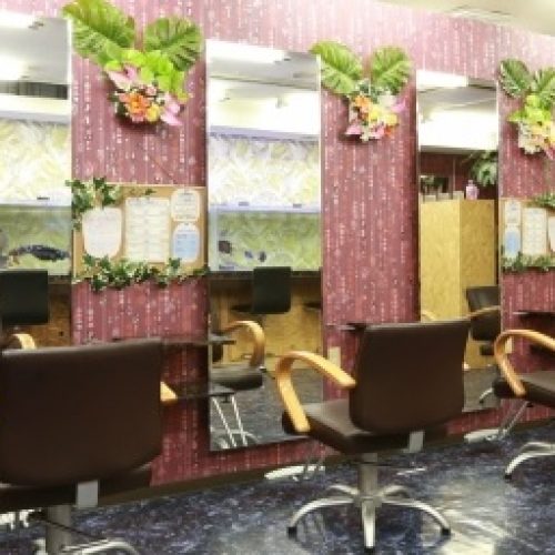 hair salon Ara